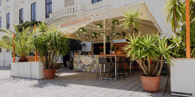 Giardino Barbaro by Chandon Garden Spritz